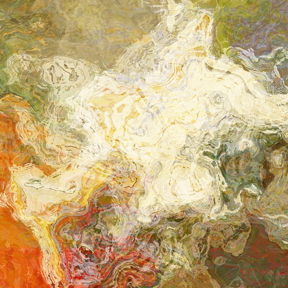 Large Modern Art Print On Canvas 30x30 Abstract Chrysanthemum